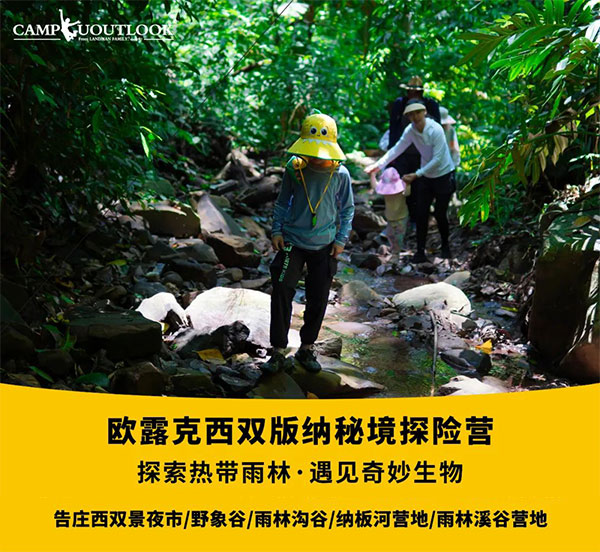 云南西双版纳热带雨林秘境探险夏令营