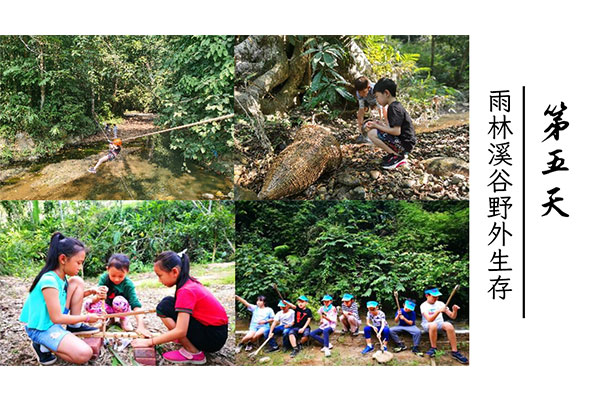 云南西双版纳热带雨林秘境探险夏令营