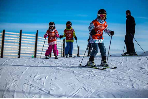 南岛反季滑雪游学夏令营14天