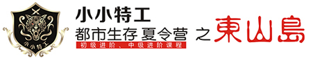 小小特工夏令营logo