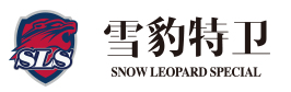 雪豹环球夏令营logo