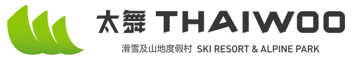 太舞夏令营logo