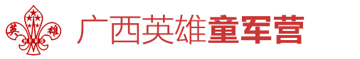 英雄亮剑夏令营logo