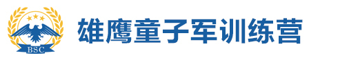雄鹰童子军训练营logo