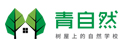 青自然龙8电子平台