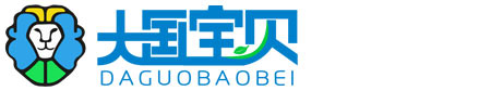 大国宝贝夏令营logo