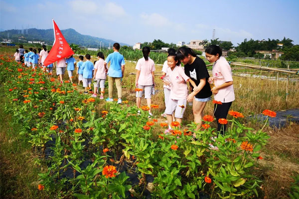 东莞国学夏令营