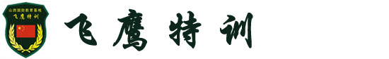飞鹰特训夏令营logo