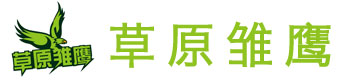 草原雏鹰夏令营logo