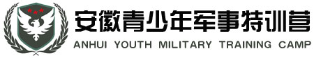 安徽八一夏令营logo