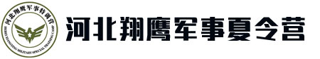 河北翔鹰夏令营logo