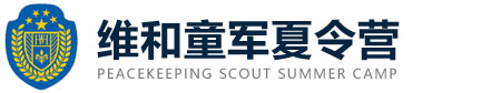 维和童军夏令营logo