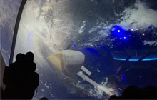 美国奥兰多NASA太空探索+全真插班游学营13天