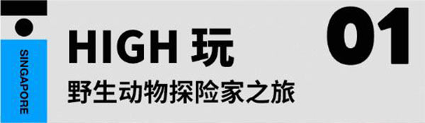 走进狮城新加坡科技探索夏令营