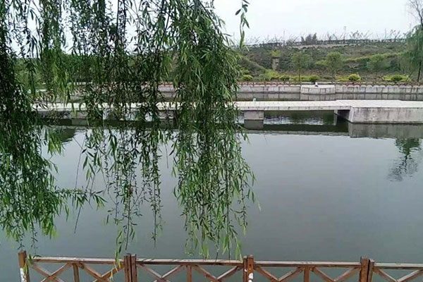 广汉七彩河畔拓展基地