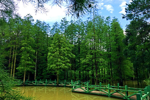 武汉九真山拓展训练基地