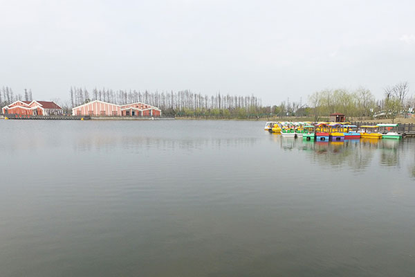 上海长兴岛郊野公园
