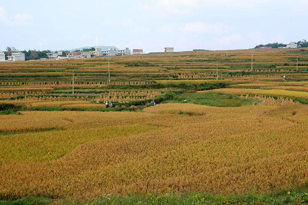 贵阳高坡云顶草原拓展基地