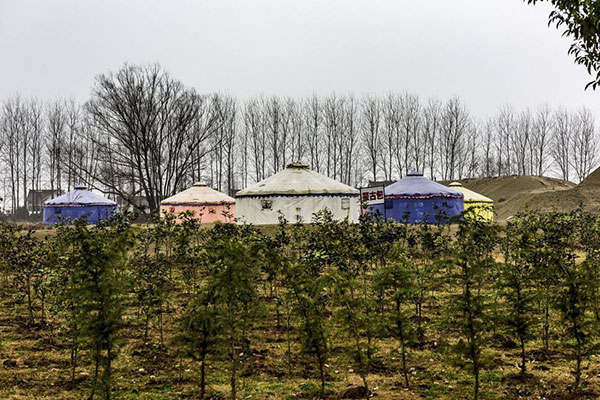 南京八卦洲沙漠风情拓展基地