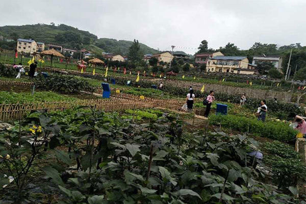 重庆七彩祥耘开心农场