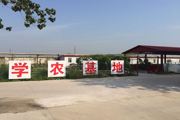 天津圣德素质拓展基地