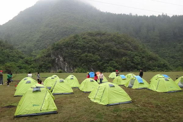 贵州惠水野梅岭