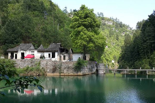 贵州惠水野梅岭