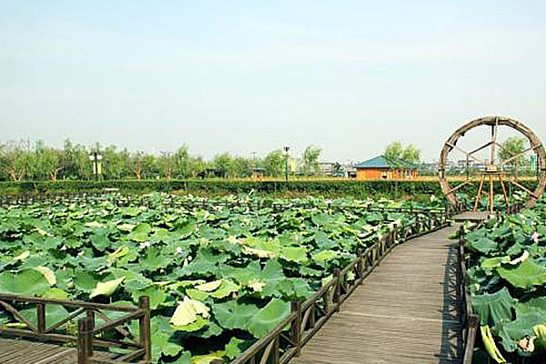 杭州塘栖琵琶湾拓展基地