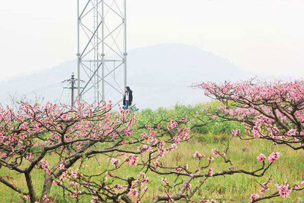 成都龙泉新光华拓展培训基地