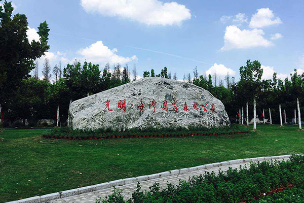 上海海湾国家森林公园拓展基地