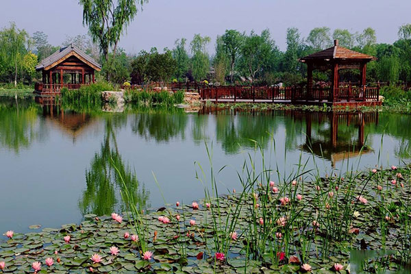 天津津北森林公园