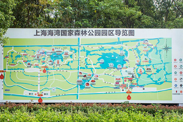 上海海湾国家森林公园拓展基地